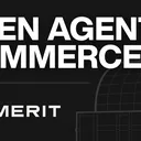 Merit Systems