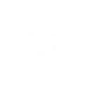 Vivid Studio